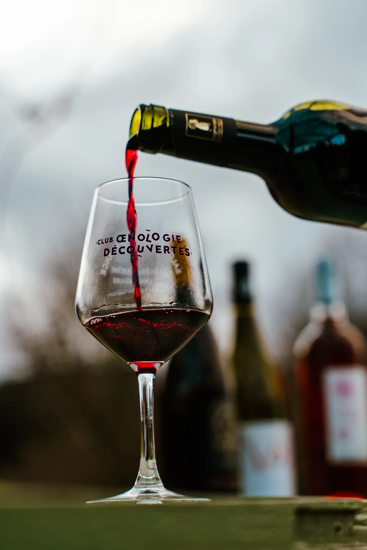 Salon-des-vins-Charmes-5